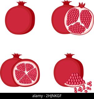 Pomegranate, whole fruit, half, slice, vector illustration Stock Vector