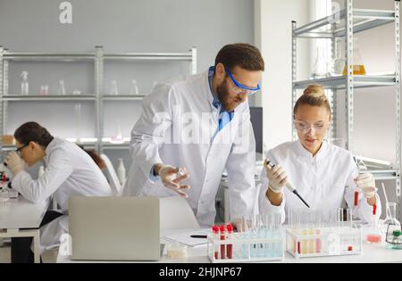 Female and male scientists work together to analyze samples while working in the laboratory. Stock Photo