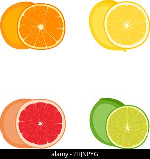 Set of citrus fruits (orange, lemon, grapefruit, lime), vector illustration Stock Vector