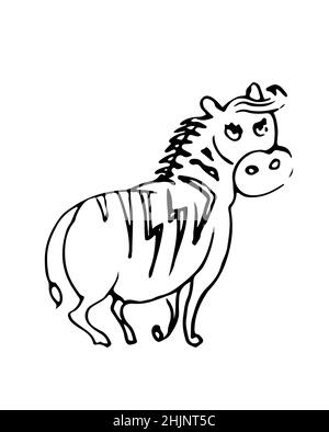 Fat zebra funny. Cheerful wild animal. A comical character. Outline sketch. Hand drawing is isolated on a white background. Vector Stock Vector