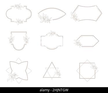 Line geometric frame with olive branch vector set in minimalistic style. Bohemian, abstract, linear frames. Minimal, outline borders of pictures for s Stock Vector