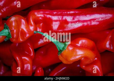 Pile of sweet pointed red peppers, known as Ramiro or Romano, on a market stall in Ealing, West London Stock Photo