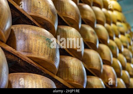 Macro view of parmesan cheese (Parmigiano Reggiano) on the wooden shelves in warehouse Stock Photo