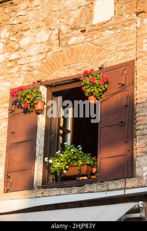 Close up shot of an open window with shades and flowers, on an old brick building. Stock Photo