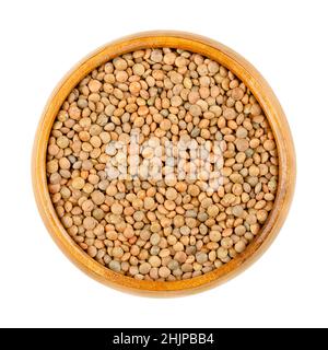 Brown lentils in a wooden bowl. Mountain lentils, Lens culinaris (Lens esculenta), small brown-red lentils with delicate speckles on a shiny surface. Stock Photo