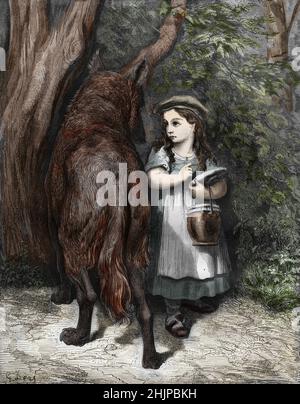 Charles Perrault Little Red Riding Hood Ilustrations by Richard André ...