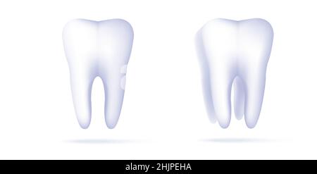 Tooth, 3D render icons set, front view and in perspective with healthy roots, white isolated Stock Vector