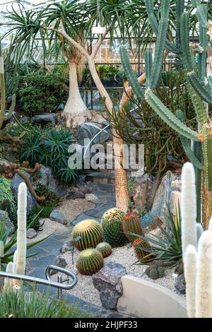 Inverness Botanic Gardens Cactus House, Inverness, Scotland Stock Photo