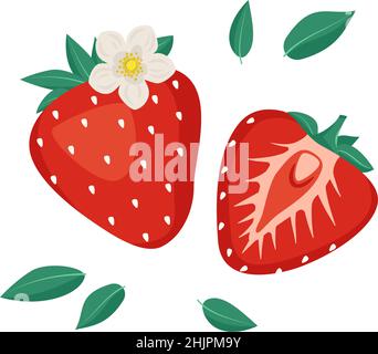 Strawberry red berry icon. Sweet tasty food and snack with flower and leaves. Natural product suitable for vegetarians. A source of vitamins and allergies. Vector flat illustration Stock Vector