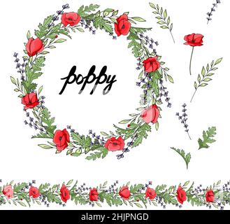 Detailed contour wreath and seamless pattern brush with poppy isolated on white. Endless horizontal texture for your design. Horizontal flover border Stock Vector