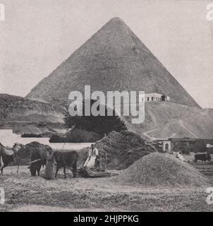 Old Monument and methods of the Unchanging East. Egypt. Cairo (1923) Stock Photo