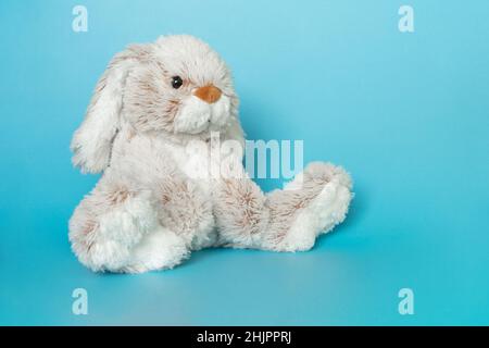 Stuffed bunny on blue background. Easter concept. Cute white toy bunny sitting on colored background. Stock Photo