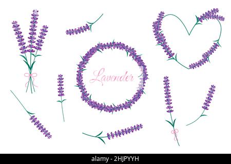 Lavender flowers isolated on white background. Vector set with purple Lavender blossom, bouquet and floral frames. Round and heart borders. Stock Vector