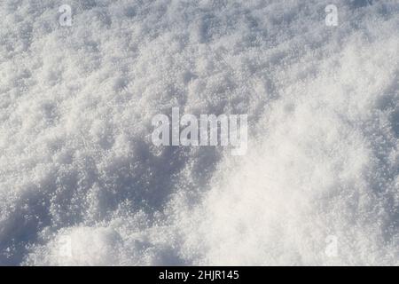 Fresh fluffy snow background. Frozen white texture. Stock Photo