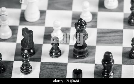 Black and white chess board with Queen in focus, surrounded by pawns, knight and bishop Stock Photo