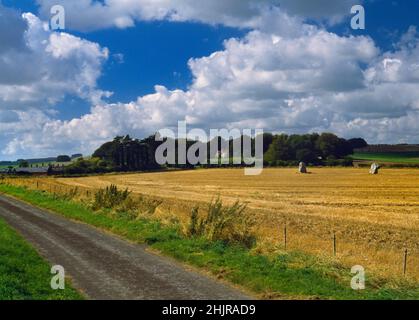 Adam and Eve: view W of the Longstones Neolithic standing stones, Avebury, Wiltshire, England, UK with Adam on the L, Eve to the R. Stock Photo