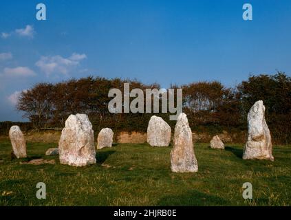 View NE of Duloe stone circle, England, UK, the smallest in Cornwall. Eight irregularly-shaped quartz stones (7 standing) form an oval c 12m  N-S. Stock Photo