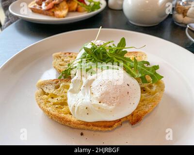 Poached eggs on toasted bread Stock Photo