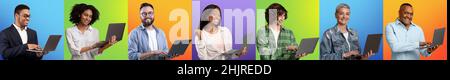 Group of diverse people using laptops while posing over different colorful studio backgrounds, panorama, collage Stock Photo