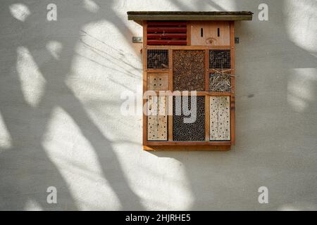 An insect hotel, an artificially created shelter, nesting and overwintering help for insects. On the wall a shadow cast by a tree. Stock Photo