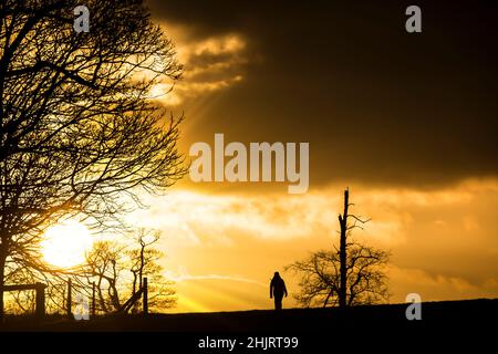 Silhouette of isolated figure walking outdoors on a UK country hillside, at sunset. Stock Photo