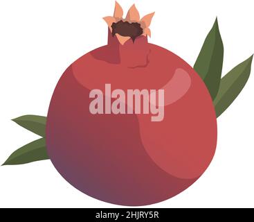 Realistic fresh ripe pomegranate isolated on white background - Vector illustration Stock Vector