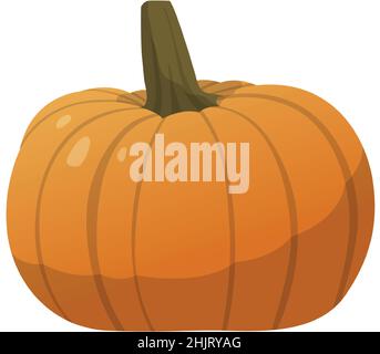 Realistic fresh ripe pumpkin isolated on white background - Vector ...
