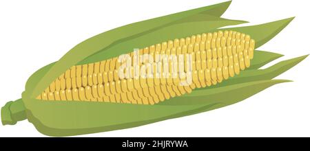 Realistic cobs of corn on a white background - Vector illustration Stock Vector