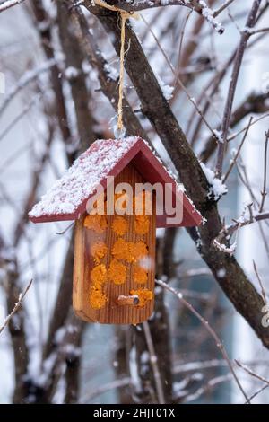 Wild bird feeder on branches with snow Stock Photo