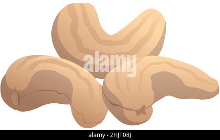 Realistic roasted cashew nuts on white background - Vector illustration Stock Vector