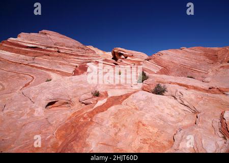 From white to pink to red on the rock of the Valley of Fire in Nevada Stock Photo