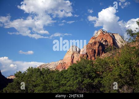 The white and red iconic peaks on top of the green trees of Zion National Park in Utah Stock Photo