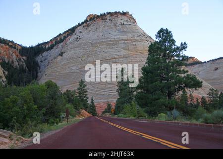 The red paved road towards the white Checkerboard Mesa during a summer sunset in Zion National Park in Utah Stock Photo