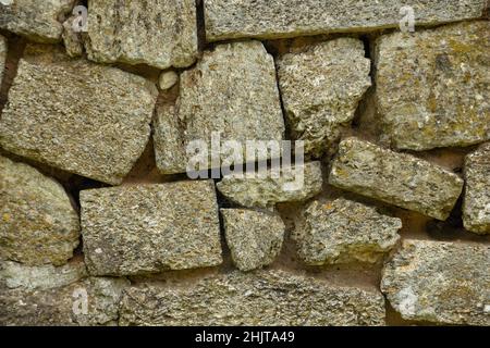 Shell rock wall, stone background close up Stock Photo
