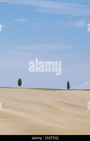 Beautiful view of two little cypress trees standing over an agricultural field in the valley of Val d'Orcia in Tuscany, Italy Stock Photo