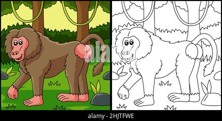 Baboon Coloring Page Vector Illustration Stock Vector