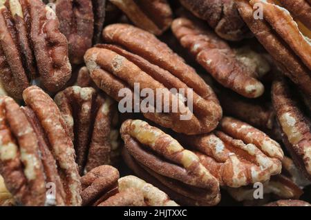 Pecan nuts / Pecans Stock Photo