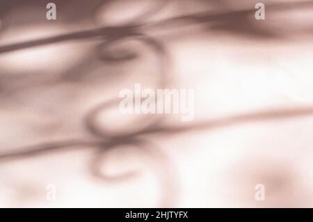 Abstract shadow falling on pink color paper for background or wallpaper. Stock Photo