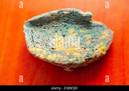 Moldy bread , macro surface . Putrid background