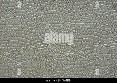 Fragment of dark gray natural skin of a reptile with a characteristic pattern close-up. Background, pattern, texture. Stock Photo