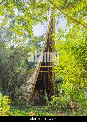 BALI, INDONESIA - MAY 2018: Green School Bamboo village, Traditional houses constructed by Bamboo with Thatch roof in the heart of Bali island. Very Stock Photo