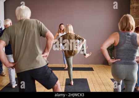Rear view of group of senior people exercising during sports training with instructor in sport class Stock Photo