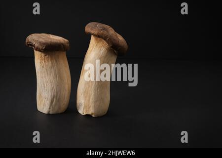 Popular uncooked healthy asian edible King Oyster mushrooms on black background. Asian cuisine. Stock Photo