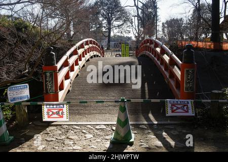 Oyama, Tochigi, japan, 2022/03/01 , Shiroyama park near the Gion Hill castle ruins in Oyama city, Tochigi prefecture. Stock Photo