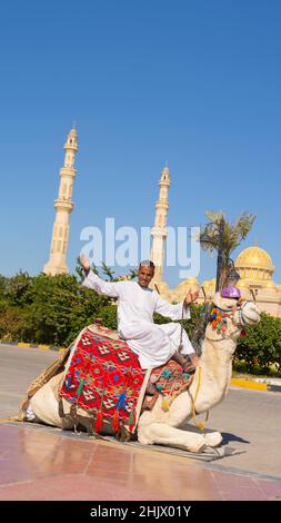 Arab man siting on a camel aagainst the mosque Stock Photo