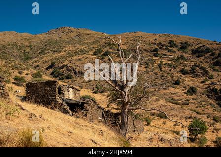Abandoned slate farmhouse in the Poqueira Valley, Las Alpujarras, Sierra Nevada National Park, Andalusia, Spain