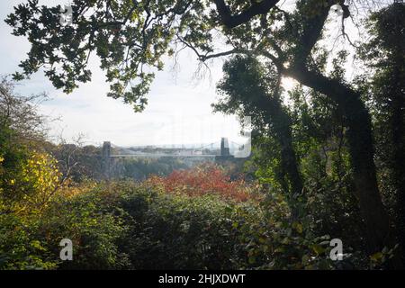 Clifton Suspension Bridge from Leigh Woods. Bristol. UK. Stock Photo