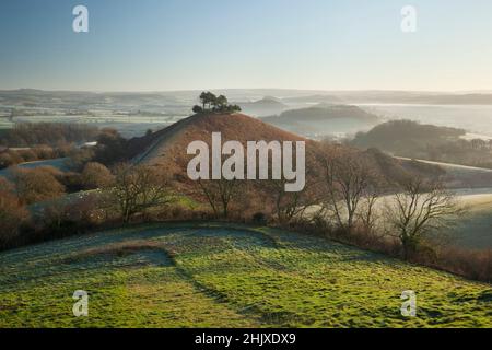 Colmer's Hill and Marshwood Vale on a winter morning. Dorset, UK. Stock Photo