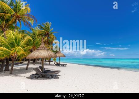 Coco palm trees on Paradise beach in tropical resort Stock Photo