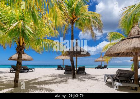 Coco palm trees on Paradise beach in tropical resort Stock Photo